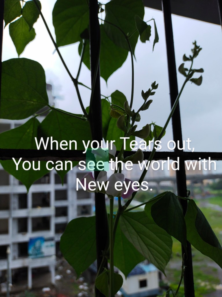 When your tears out you can see the world with the prospective. 