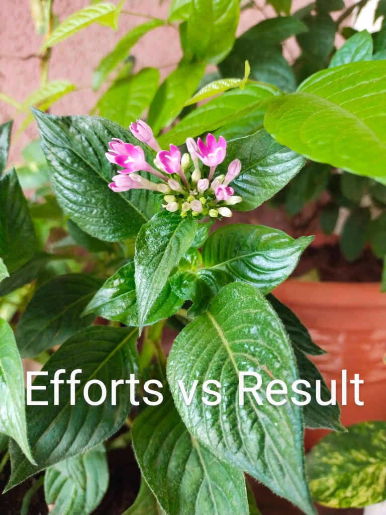 Efforts Vs Result.